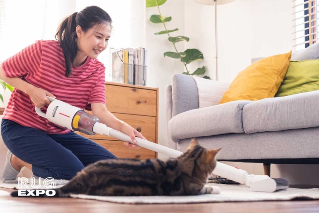 Cleaning rug