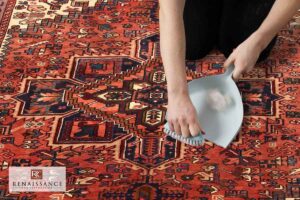 How to Remove Pet Hair from Rugs Quick & Easy Methods