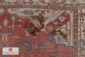 Rug Cleaning Solutions