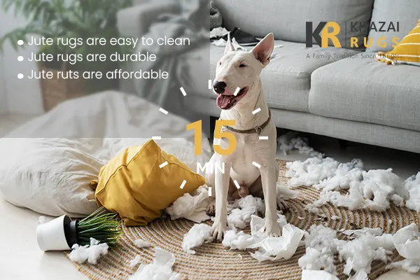 Are Jute Rugs Pet Friendly? - Why Do You Need One For Your Home?