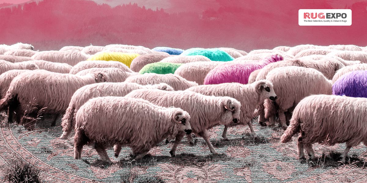 How to Store Wool Area Rugs Safely Expert Advice