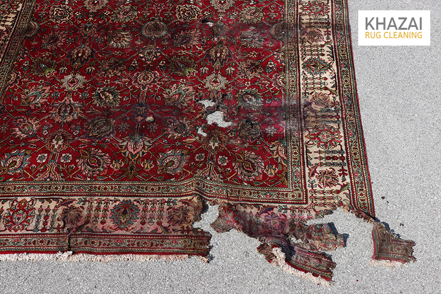 Rug Care Tips: Preventing Mildew and Dry Rot in Rugs » Greenspring Rug Care