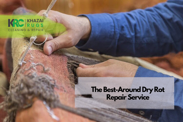 The Best-Around Dry Rot Repair Service
