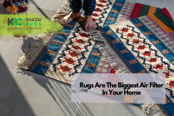 Rugs Are The Biggest Air Filter In Your Home
