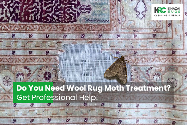 Do You Need Wool Rug Moth Treatment? Get Professional Help!