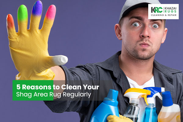 5 Reasons to Clean Your Shag Area Rug Regularly