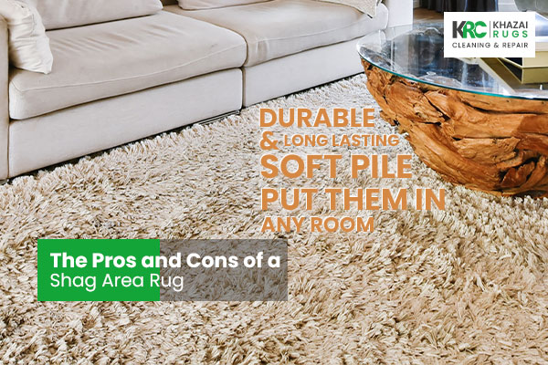 The Pros and Cons of a Shag Area Rug
