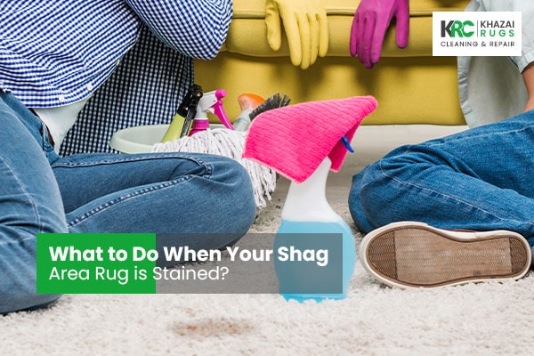 What to Do When Your Shag Area Rug is Stained?