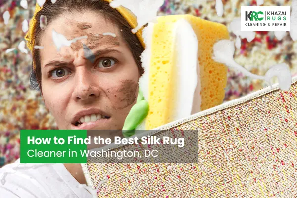 Best Silk Rug Cleaner DMV