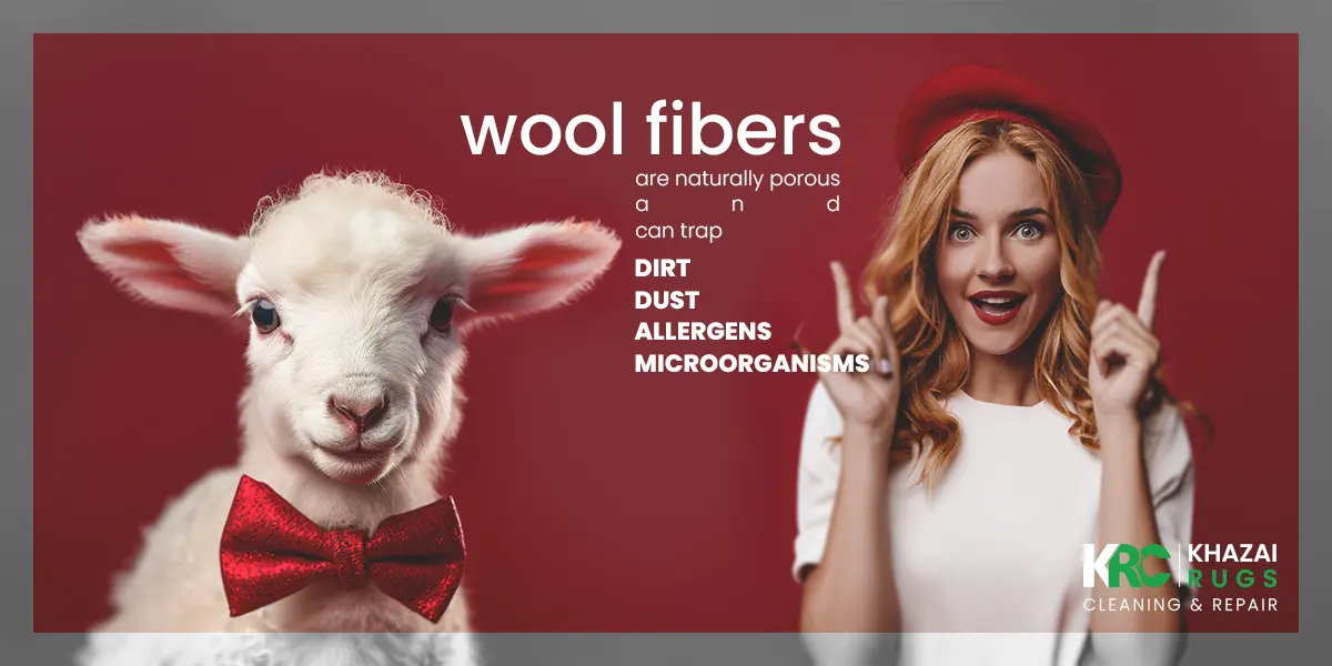 Where Can I Have a Wool Rug Cleaned Near Me, Wool Rug Cleaned Near Me