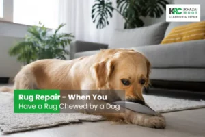 Rug Chewed by a Dog