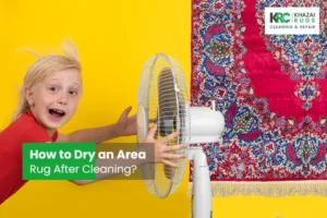 How to Dry an Area Rug After Cleaning?, Dry an Area Rug After Cleaning
