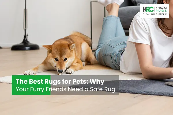 The Best Rugs for Pets: Why Your Furry Friends Need a Safe Rug, Best Rugs for Pets