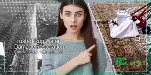 Rug Water Damage Restoration in Potomac: Fast, Affordable, and Professional - Khazai Rug Cleaning
