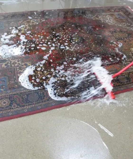 express-wash-rug-cleaning