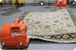 rug-cleaning- drying