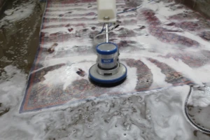 Water Damage Carpet Rug Cleaning & Repair - MD-DC-VA
