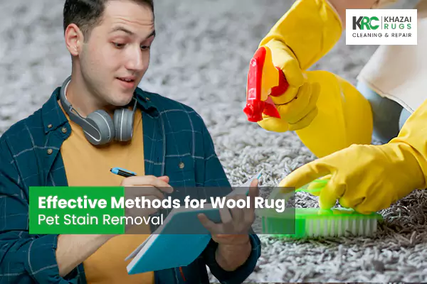 Effective Methods for Wool Rug Pet Stain Removal