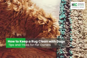 How to Keep a Rug Clean with Dogs - Tips and Tricks for Pet Owners