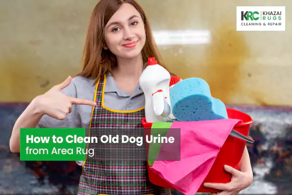 how to clean old dog urine from area rug