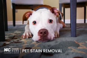 Pet Stain Removala
