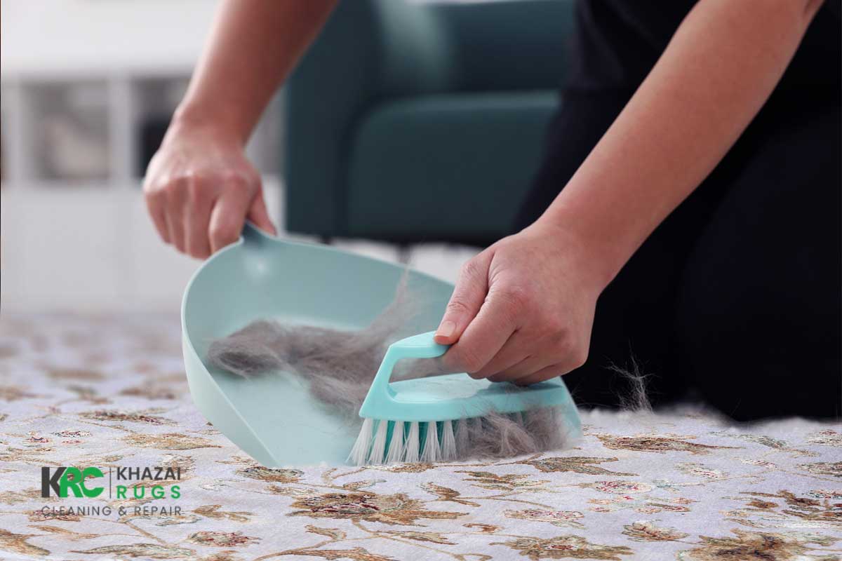 Pet Hair