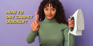 How to Dry Carpet Quickly - The Most Effective Way