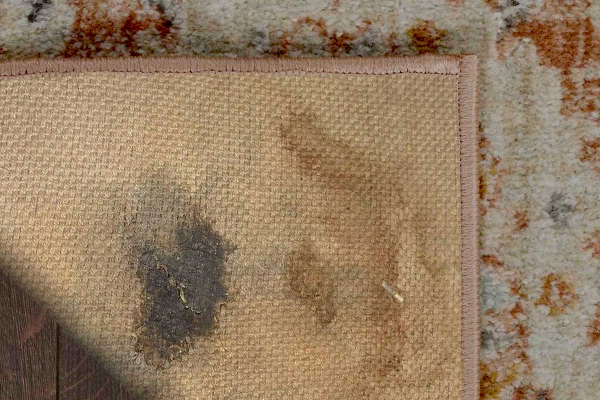 How to Get Rid of Mildew and Mold on Your Rugs