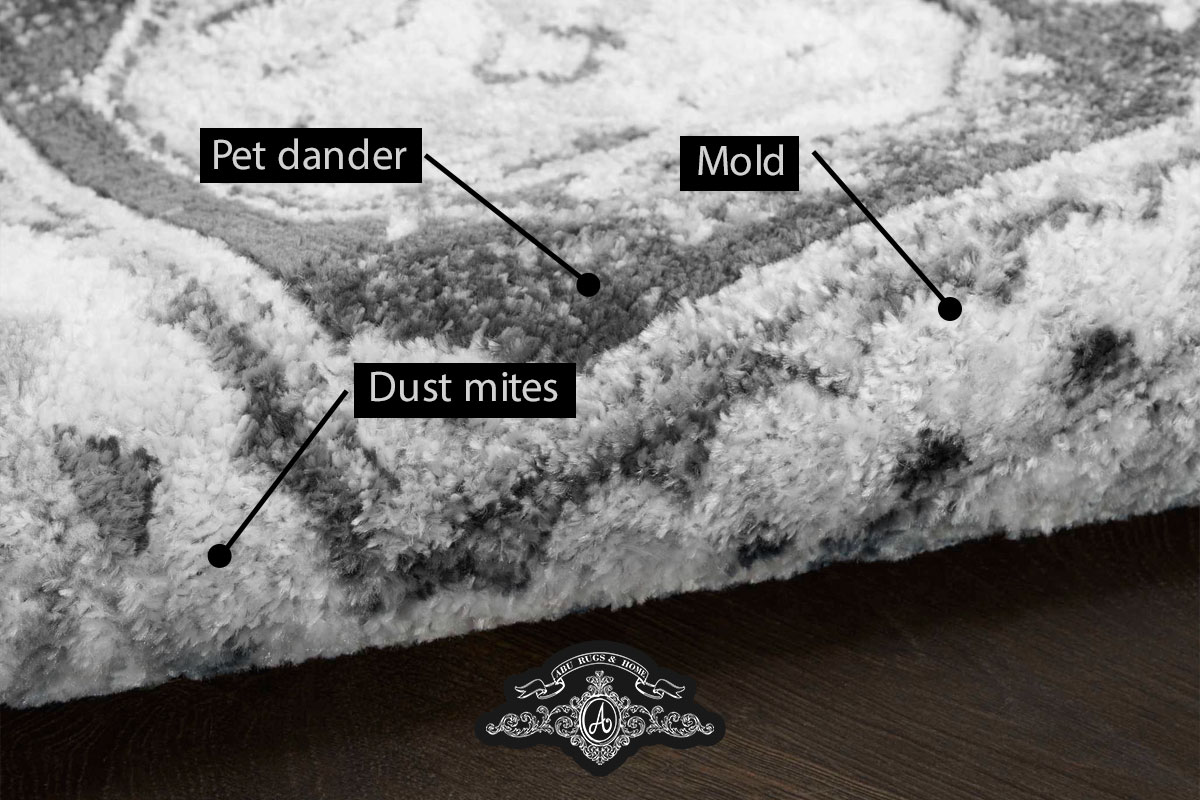 Rug-Cleaning-for-Allergy-Sufferers-How-It-Can-Help