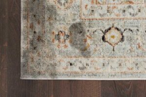 how to remove mildew and mold on your rugs