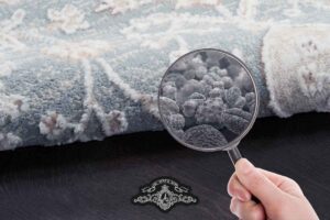 Is-Your-Rug-Truly-Clean-How-to-Tell-When-It’s-Time-for-a-Deep-Clean
