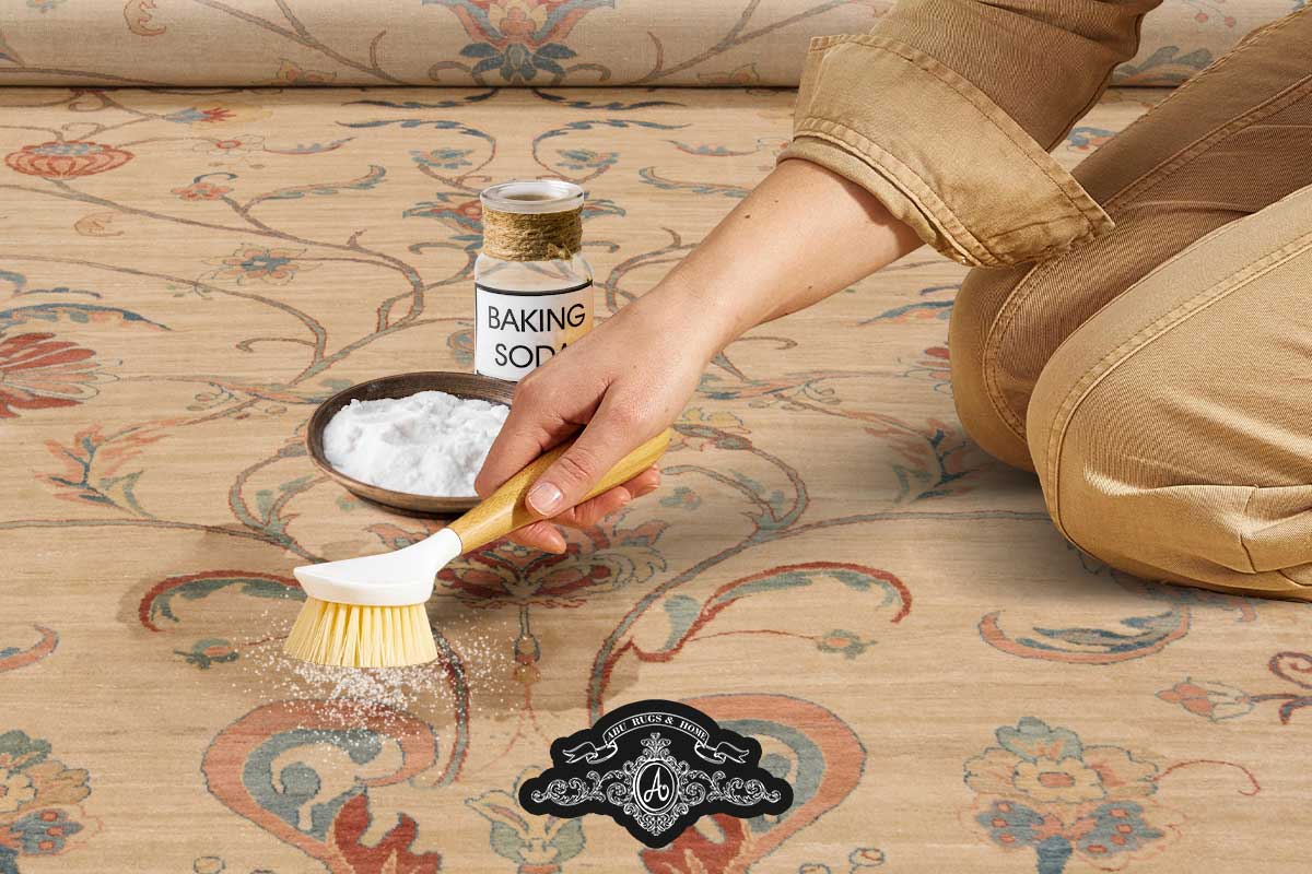  Rug Cleaning and Remove Odors