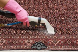 steam cleaning rugs