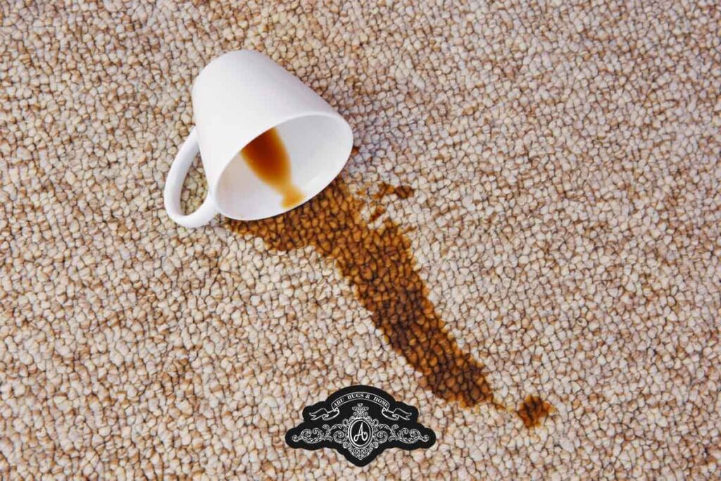 Handle Different Types of Stains on Rugs