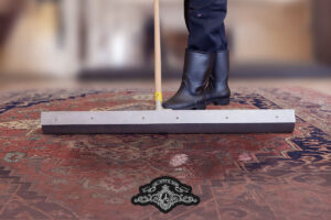 Cleaning Area Rugs