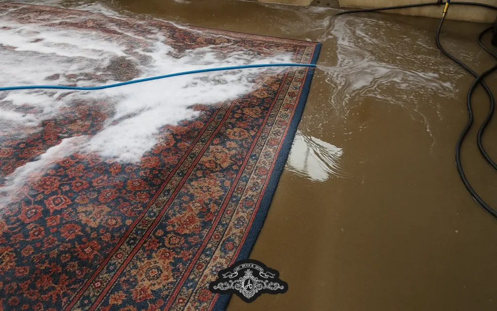 rug cleaning expectations