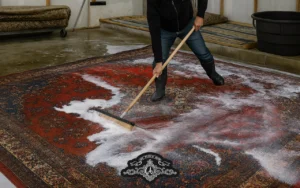 rug cleaning near me